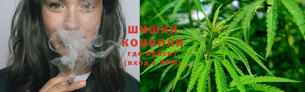 спиды Алзамай