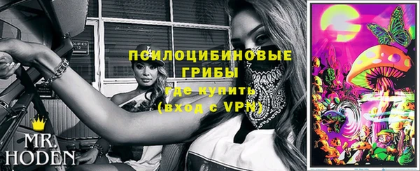 дживик Алексеевка