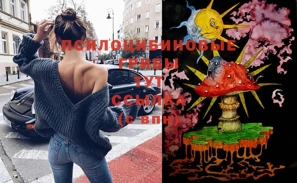 дживик Алексеевка