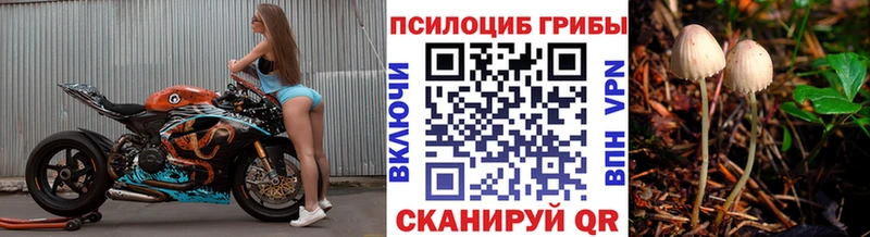 Галлюциногенные грибы GOLDEN TEACHER  Кремёнки 